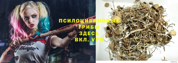 первитин Балахна