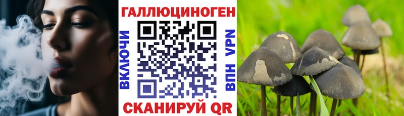 МЕГА ссылки  Кудрово  Псилоцибиновые грибы мухоморы 