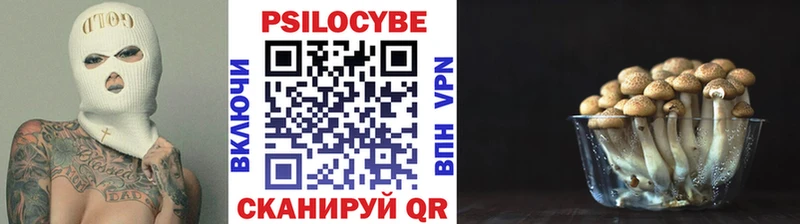 Галлюциногенные грибы Psilocybe Кудрово